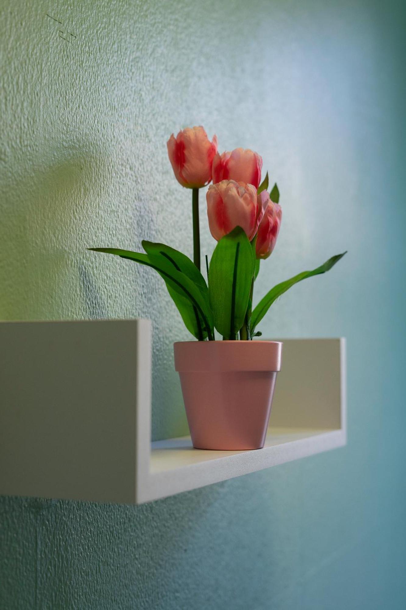 The Eden Apartment, Edinburgh City Center מראה חיצוני תמונה